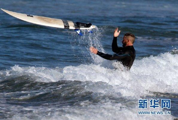 老鹰逃生